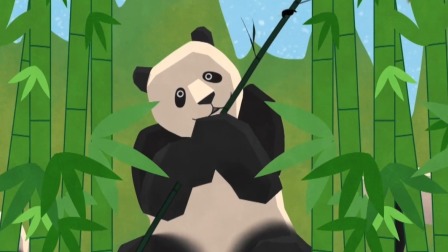 你不知道的大熊猫-全集高清在线观看