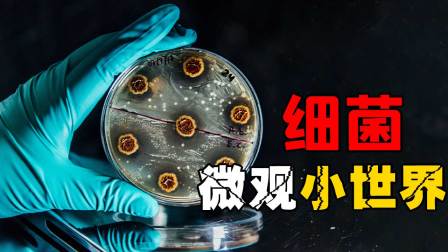 微观小世界：微生物八大类-全集高清在线观看