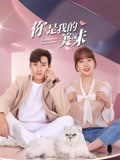 你是我的美味-全集高清在线观看