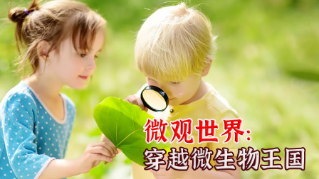 微观世界：穿越微生物王国-全集高清在线观看