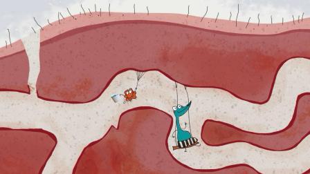 噼里啪啦，细菌来啦-全集高清在线观看