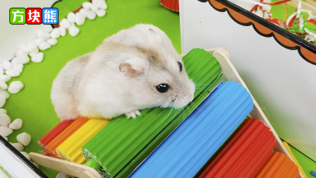 方块熊乐园之仓鼠团子户外探险记-全集高清在线观看