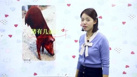 阅儿童名著-《吹小号的天鹅》-全集高清在线观看