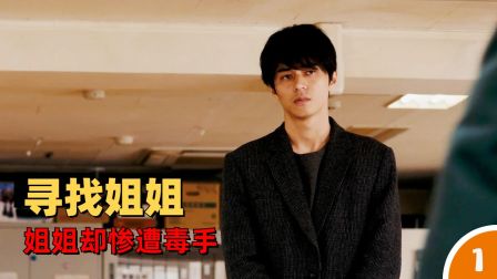 远渡解说《加害者追踪调查》-全集高清在线观看