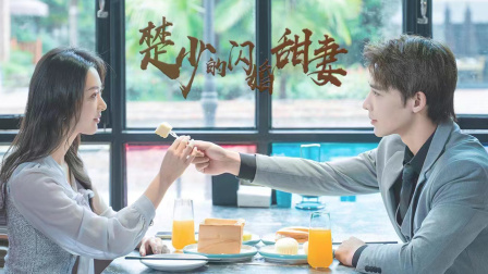 楚少的闪婚甜妻-全集高清在线观看