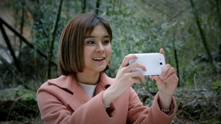 风雨送春归-全集高清在线观看