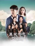 真爱不忘普通话版-全集高清在线观看