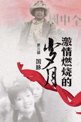 激情燃烧的岁月3-全集高清在线观看