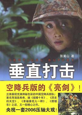 垂直打击-全集高清在线观看