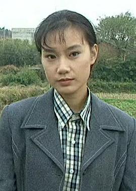 金海情-全集高清在线观看