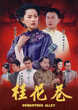 辛家媳妇/桂花巷-全集高清在线观看