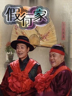 假行家-全集高清在线观看