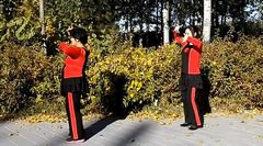 天竺少女广场舞_快乐舞动舞蹈队