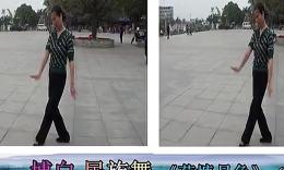 荷塘月色民族舞视频