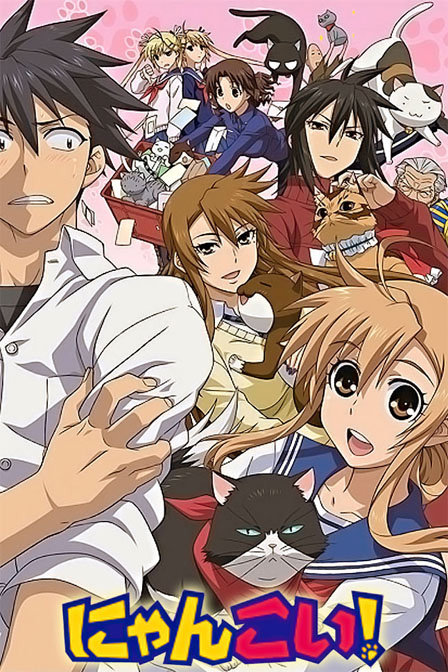 猫愿三角恋_全集在线观看