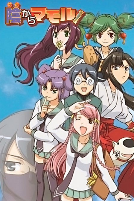 阴守忍者_动画片在线观看