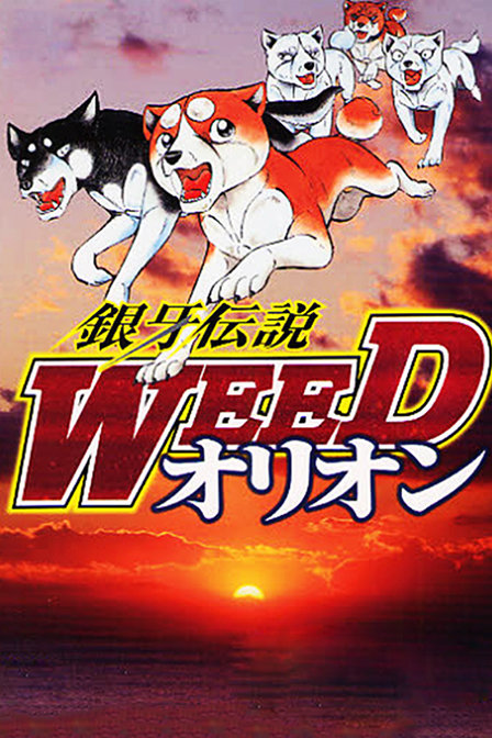 银牙传说WEED_高清在线观看