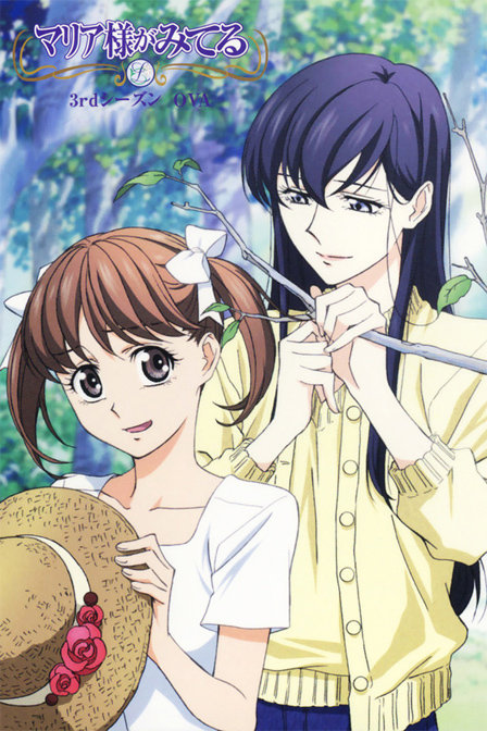 圣母在上第三季_全集在线观看