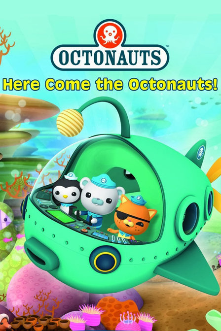 海底小纵队特别篇_全集在线观看