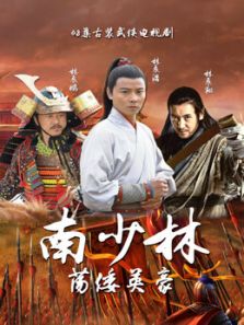 南少林荡倭英豪_完整版在线观看
