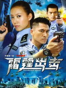 要案组雷霆出击_高清在线观看