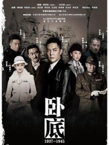 卧底卫视版_高清在线观看