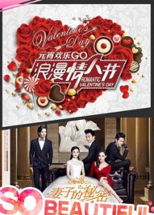 妻子的秘密（卫视版）_高清在线观看