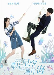 那片星空那片海未删减版_高清在线观看