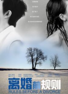 离婚前规则（未删减版）_完整版在线观看