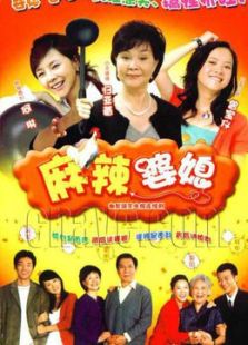 麻辣婆媳_全集在线观看