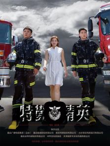 特勤精英DVD版_高清在线观看