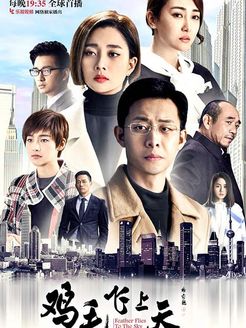 鸡毛飞上天 D_完整版在线观看