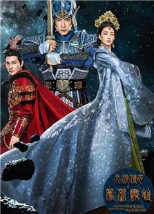 天泪传奇之凤凰无双_高清全集在线观看