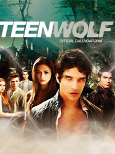 少狼第4季_完整版在线观看