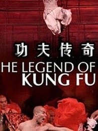 功夫传奇_高清全集在线观看