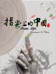 指尖上的中国_完整版在线观看