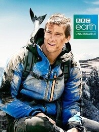 爱情CEO_完整版在线观看