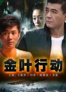 金叶行动_全集在线观看
