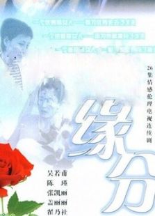 缘分的天空_高清在线观看