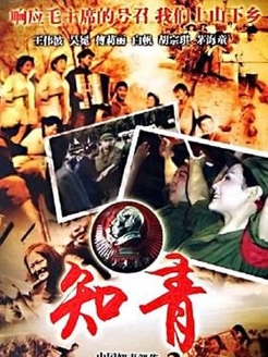 中国知青部落_高清在线观看