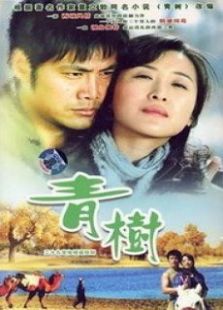 青树_高清全集在线观看