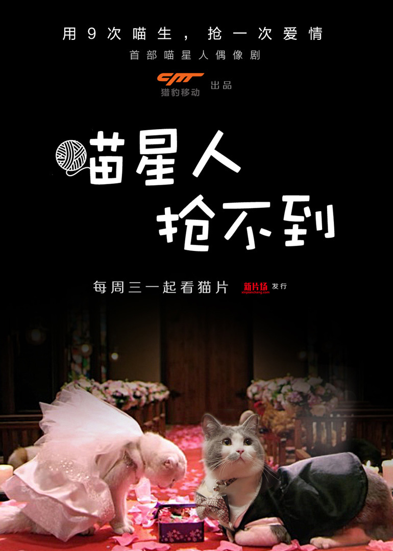 喵星人抢不到_高清在线观看