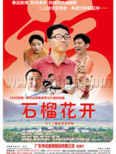 石榴花开_全集在线观看