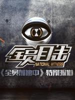 全员目击_全集在线观看