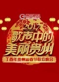 2017贵州卫视鸡年春晚_高清全集在线观看