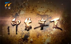 印象宁夏_完整版在线观看