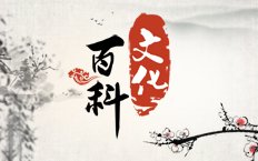 文化大百科_高清在线观看