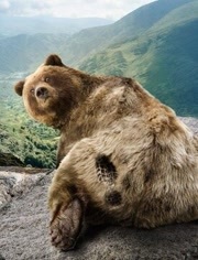 野性巴尔干群岛_高清全集在线观看