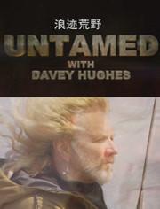 浪迹荒野_高清在线观看