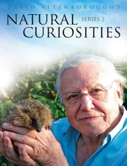 BBC:大卫·爱登堡的自然奇趣_高清在线观看